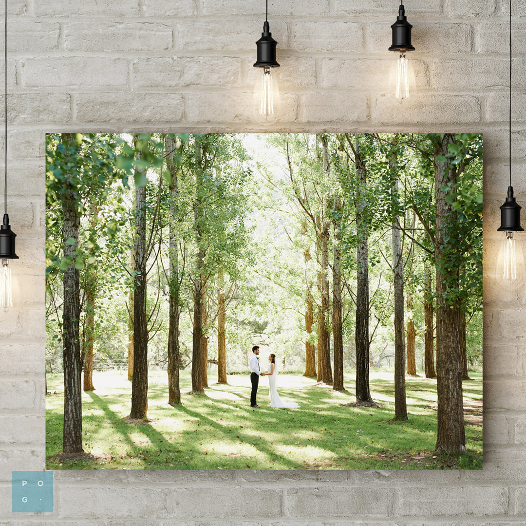 GLASS WALL ART PRINTS 13